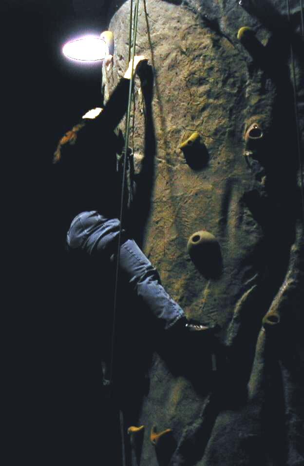Don't you want to see me climbing?